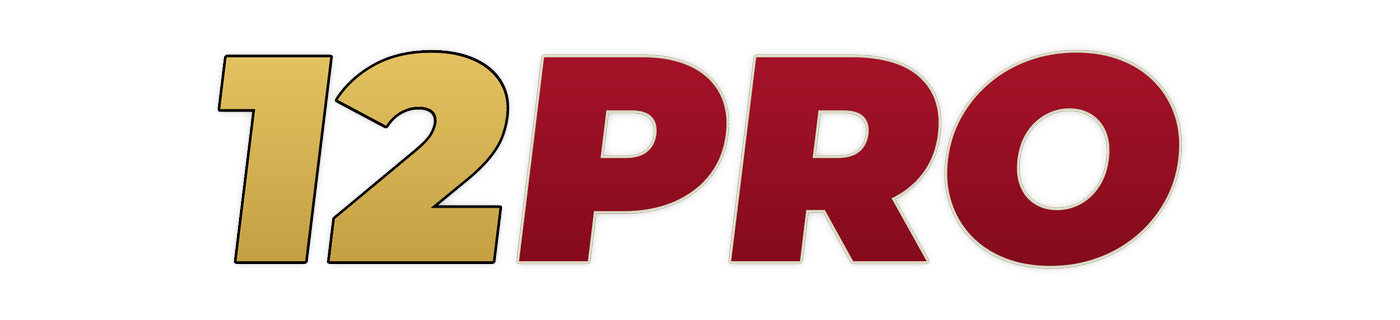 12pro